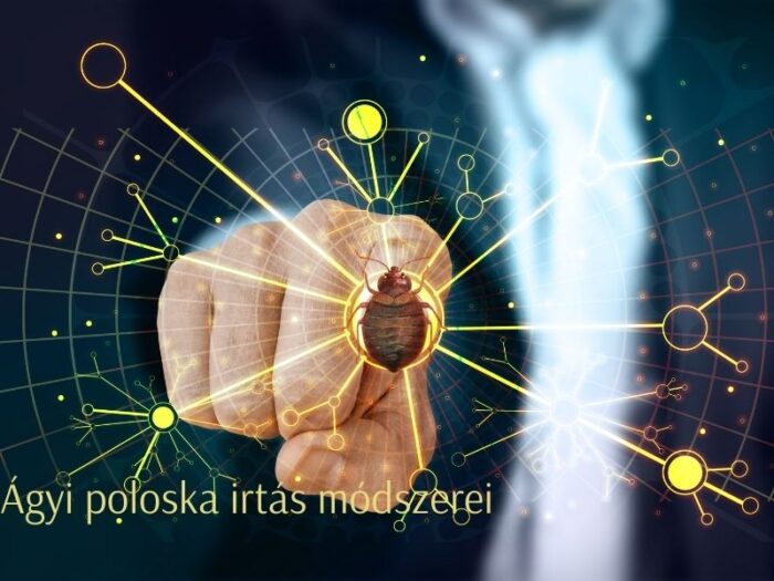ágyi poloska irtás módszerei