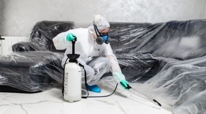 csótány ellenőrzés