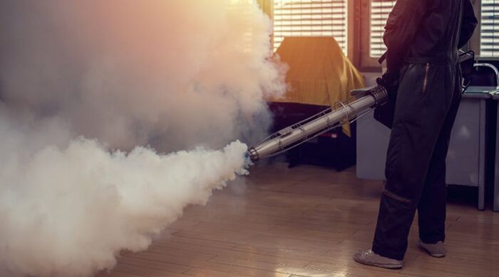 csótányirtás gázzal