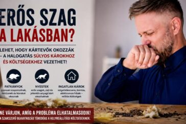 erős szag a lakásban